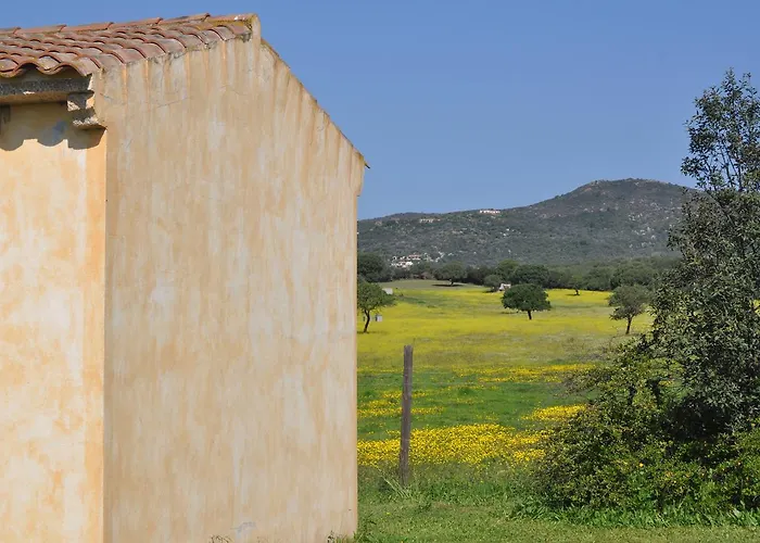 Pubulos Alojamento de Acomodação e Pequeno-almoço 3*